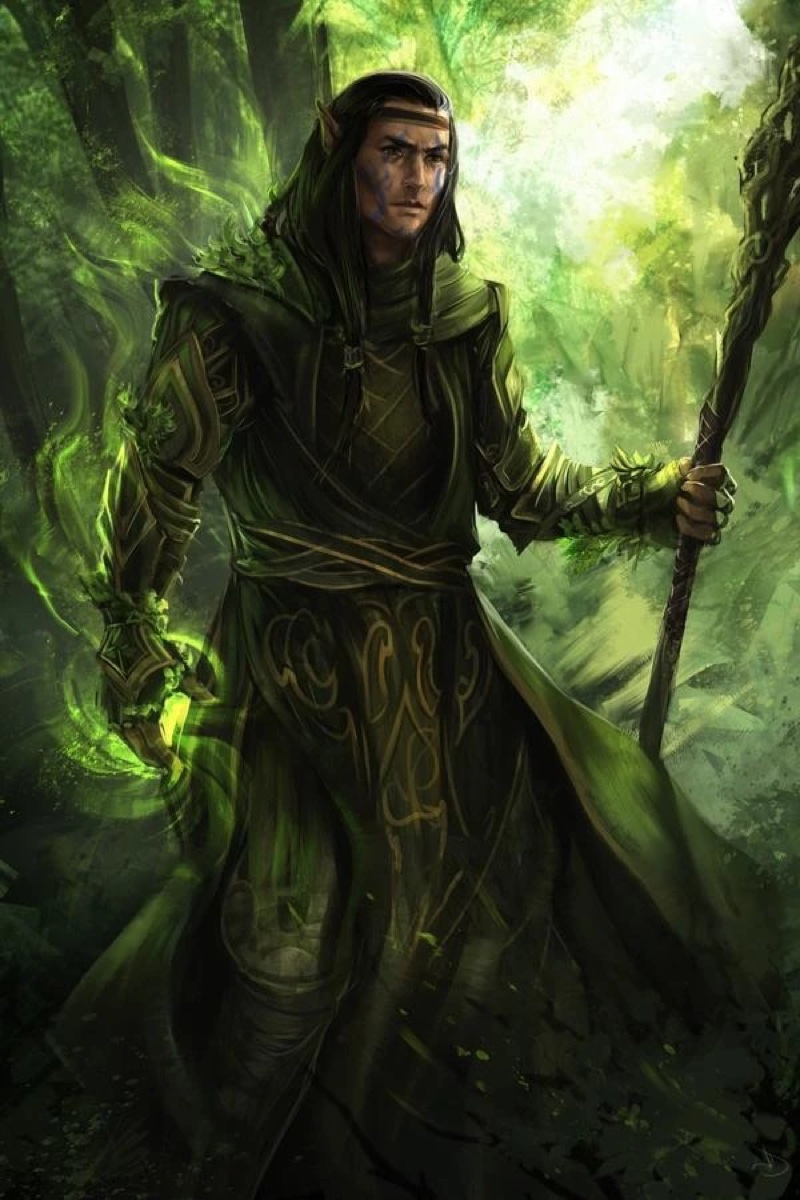 Leoden, eremita elfo di Athel Loren